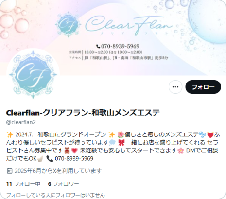 公式X